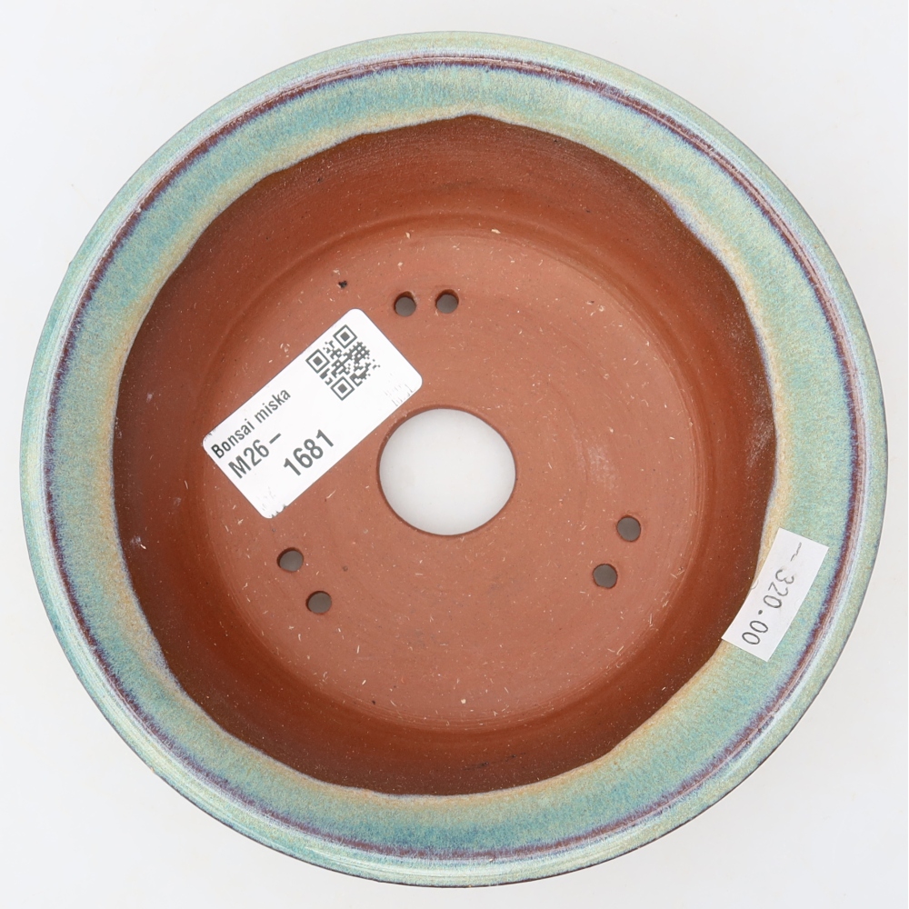 Pot à bonsaï en céramique 14,5 x 14,5 x 4,5 cm, couleur verte
