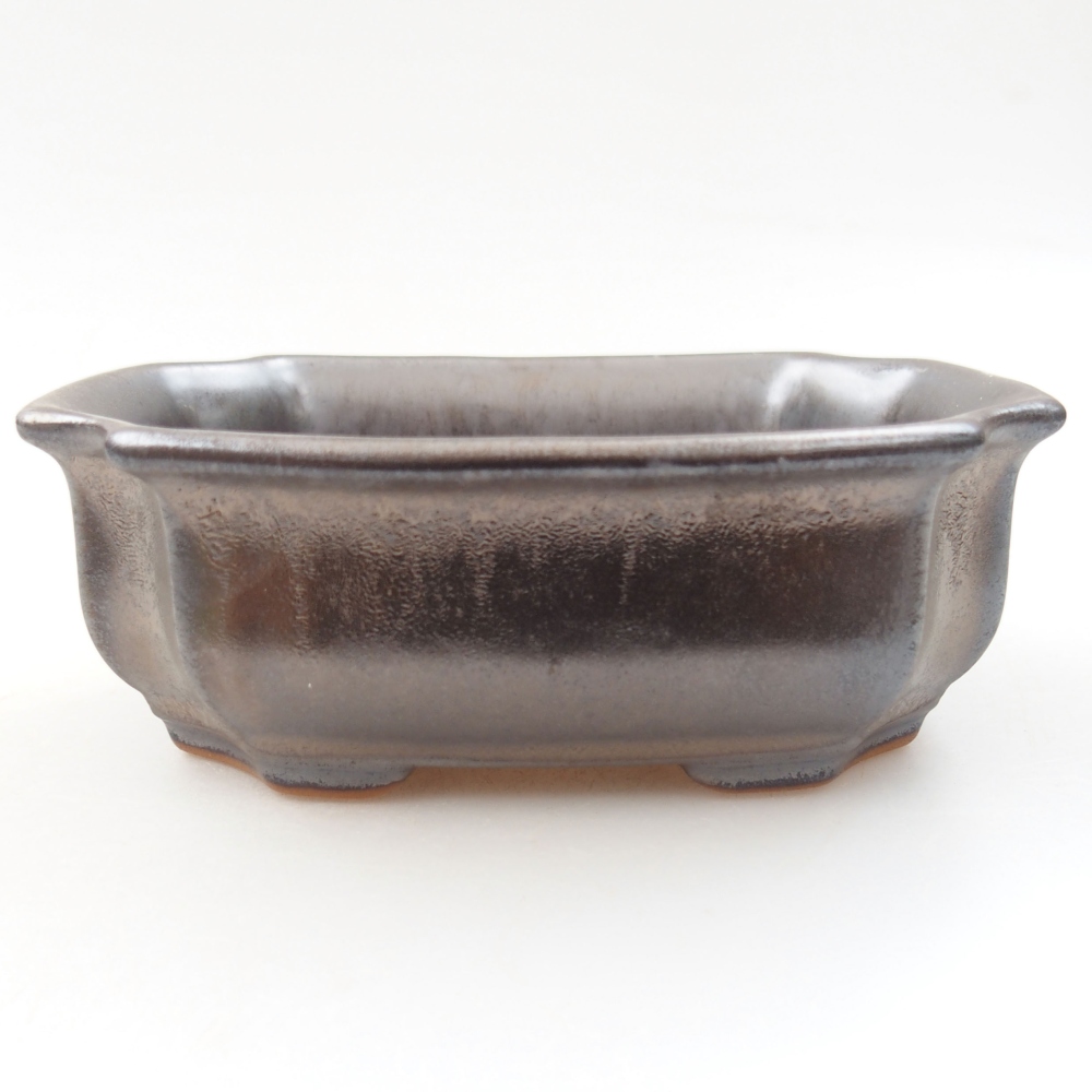 Bol à bonsaï en céramique 22 x 17 x 5 cm, vert