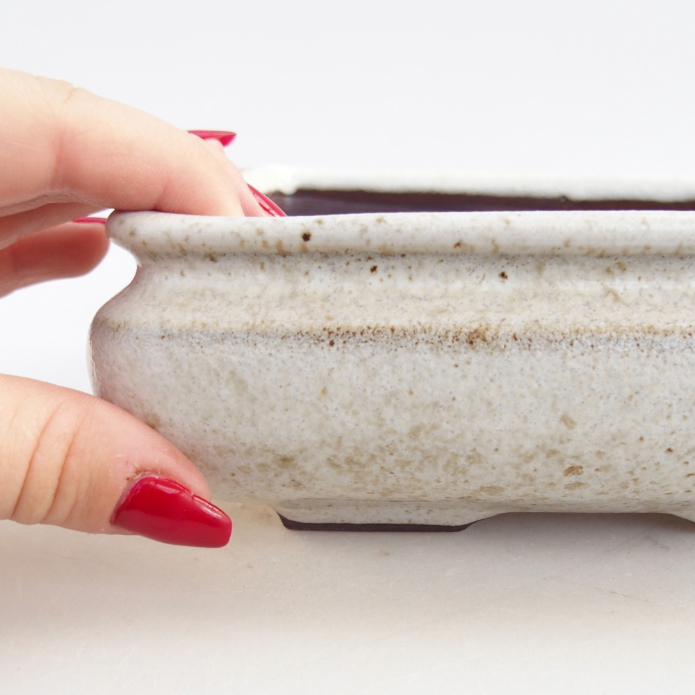 Bol à bonsaï en céramique 15,5 x 15,5 x 6 cm, blanc