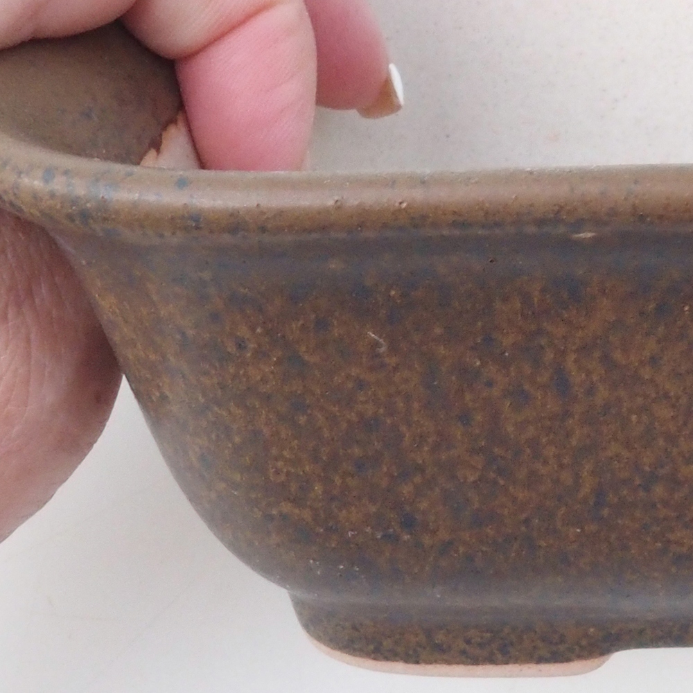 Bol à bonsaï H38 - 12 x 10 x 5,5 cm - brun