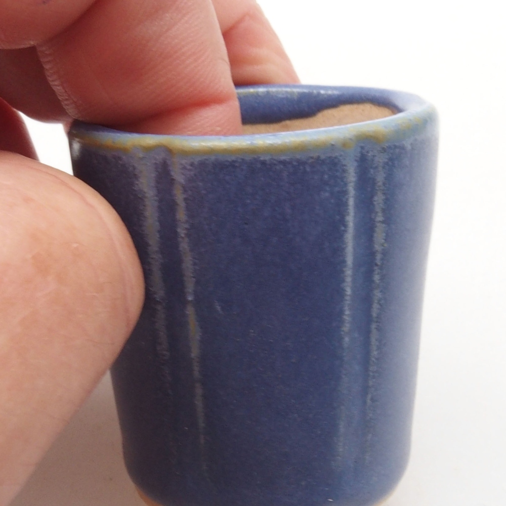 Mini bol bonsaï 3,5 x 3,5 x 4 cm, couleur bleu