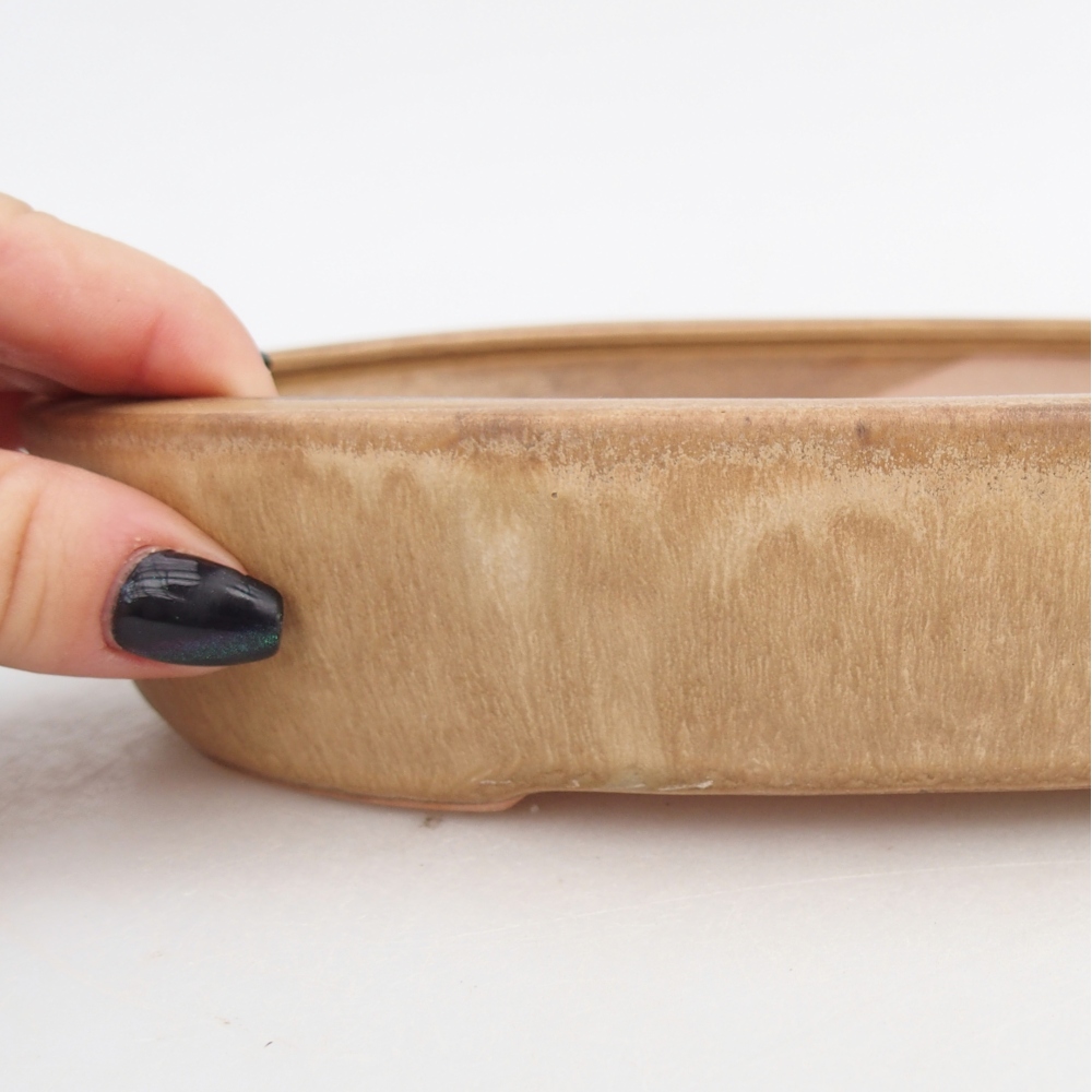 Bol à bonsaï en céramique 22,5 x 17 x 4,5 cm, couleur beige