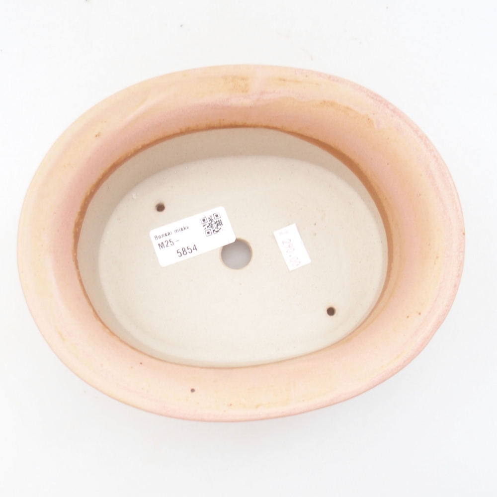 Bol à bonsaï en céramique 22 x 17 x 5 cm, vert