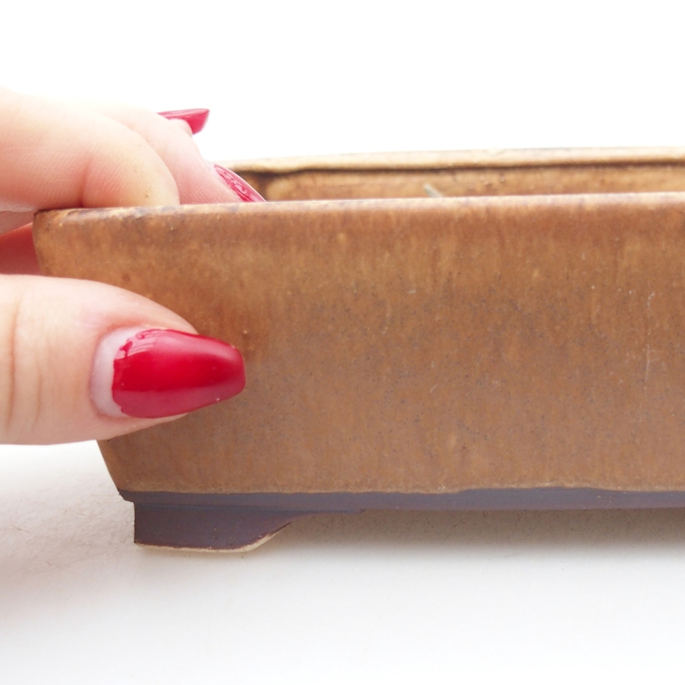 Bol à bonsaï en céramique 15 x 12 x 5 cm, brun