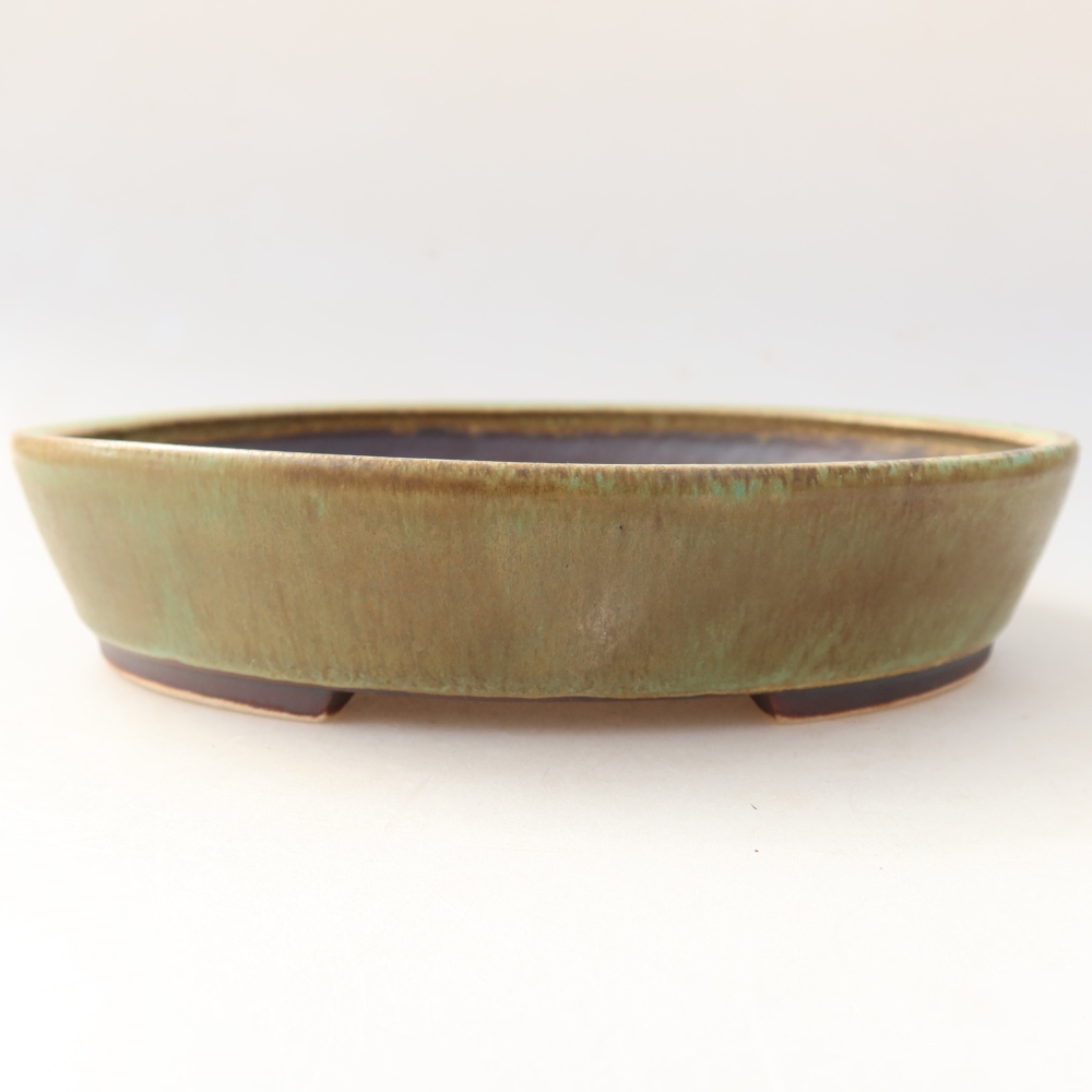 Bol à bonsaï en céramique 21 x 19 x 4,5 cm, vert