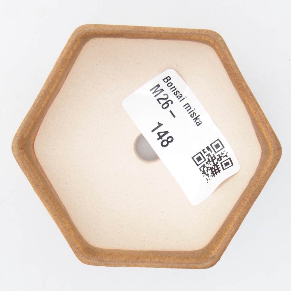 Mini bol bonsaï 7 x 6 x 3 cm, brun