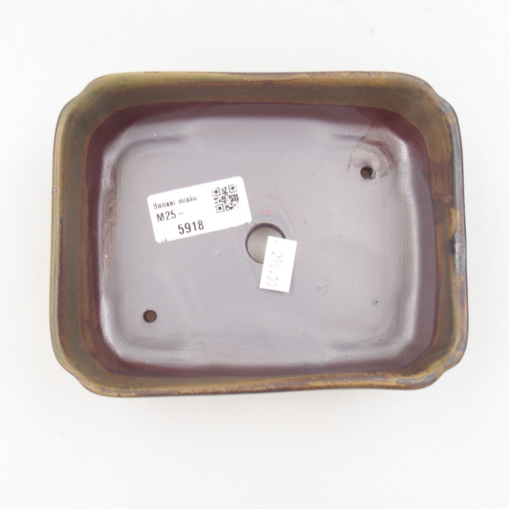 Bol à bonsaï en céramique 22 x 17 x 5 cm, vert