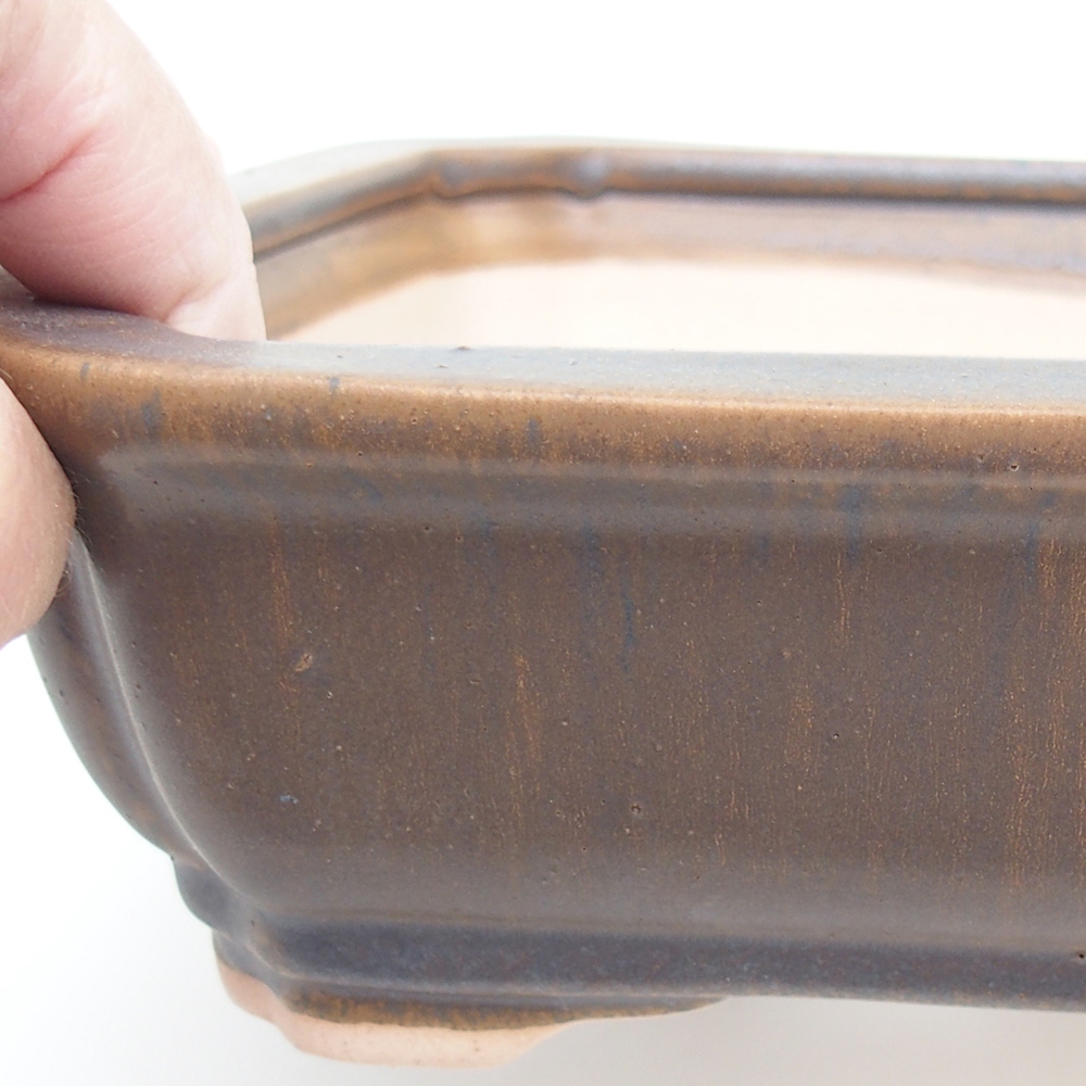 Bol à bonsaï H07 - 30 x 20,5 x 8 cm.