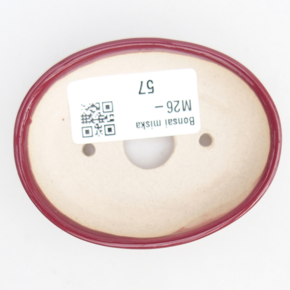 Mini bol bonsaï 8 x 6 x 2 cm, bordeaux