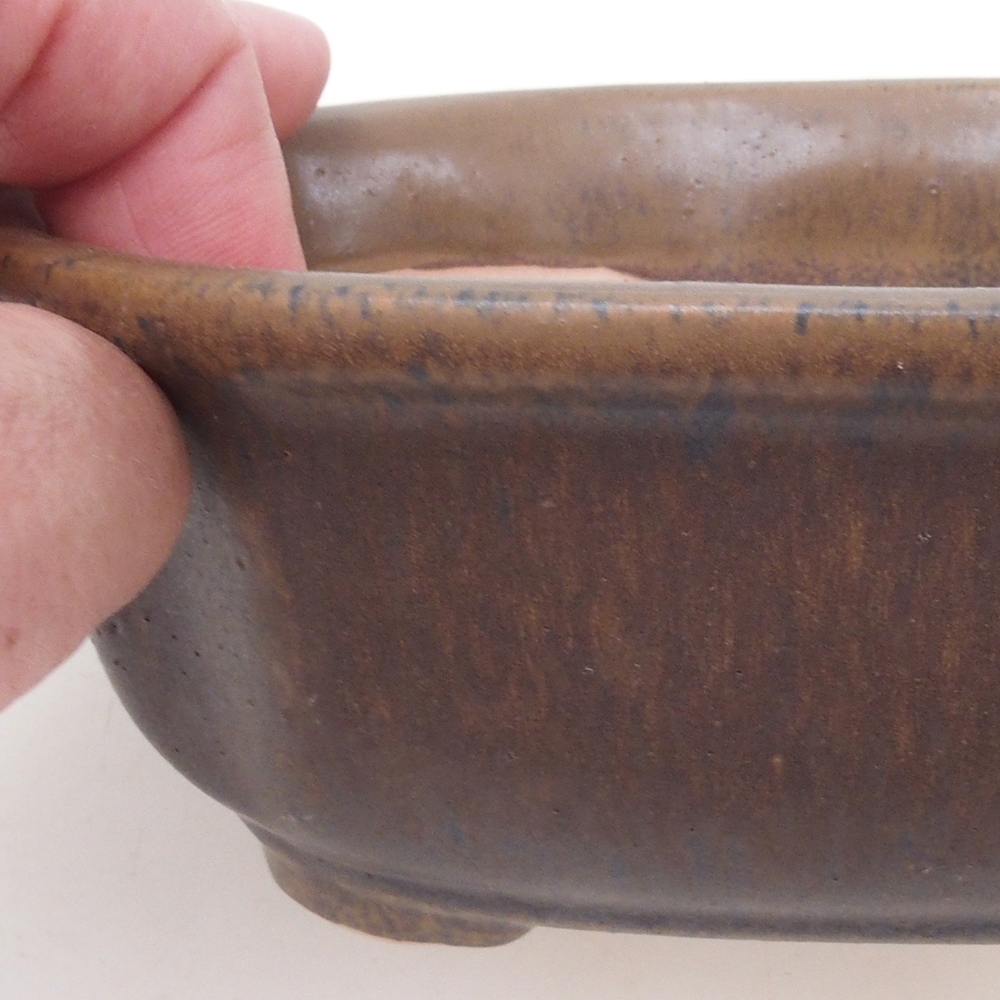 Bol à bonsaï H31 - 14 x 12 x 5,5 cm - brun