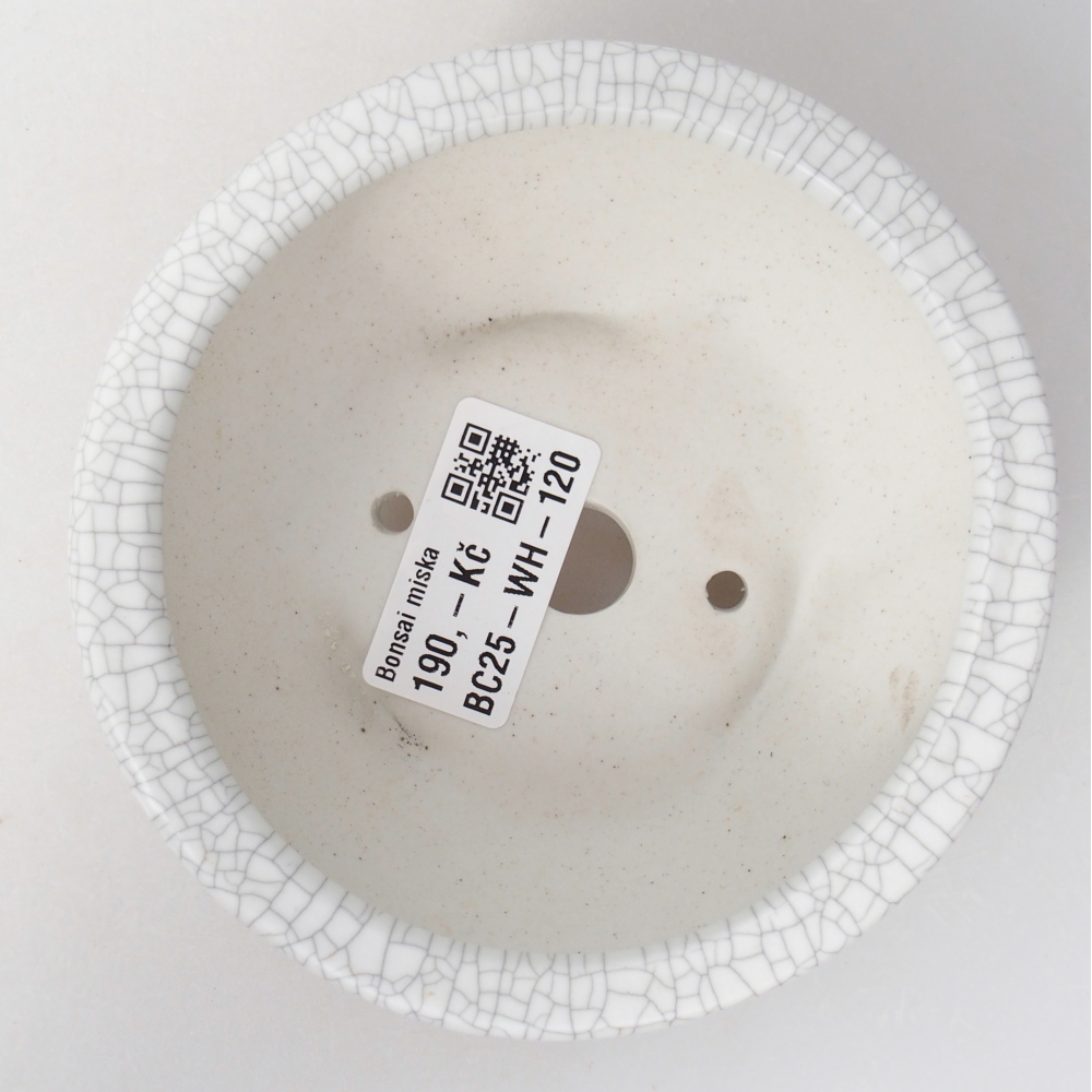 Bol à bonsaï en céramique 11,5 x 11,5 x 4,5 cm, couleur raku