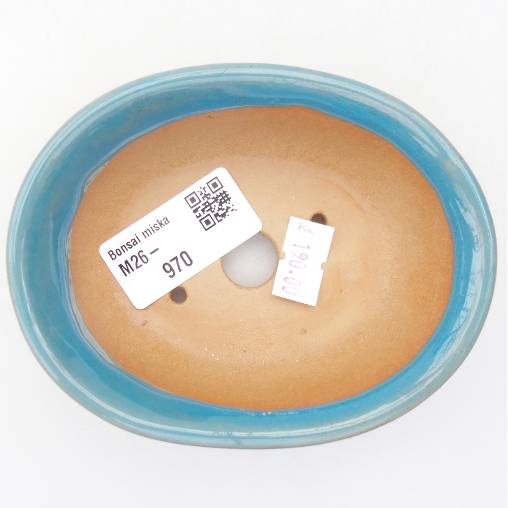 Bol à bonsaï en céramique 11 x 8,5 x 4 cm, couleur bleu