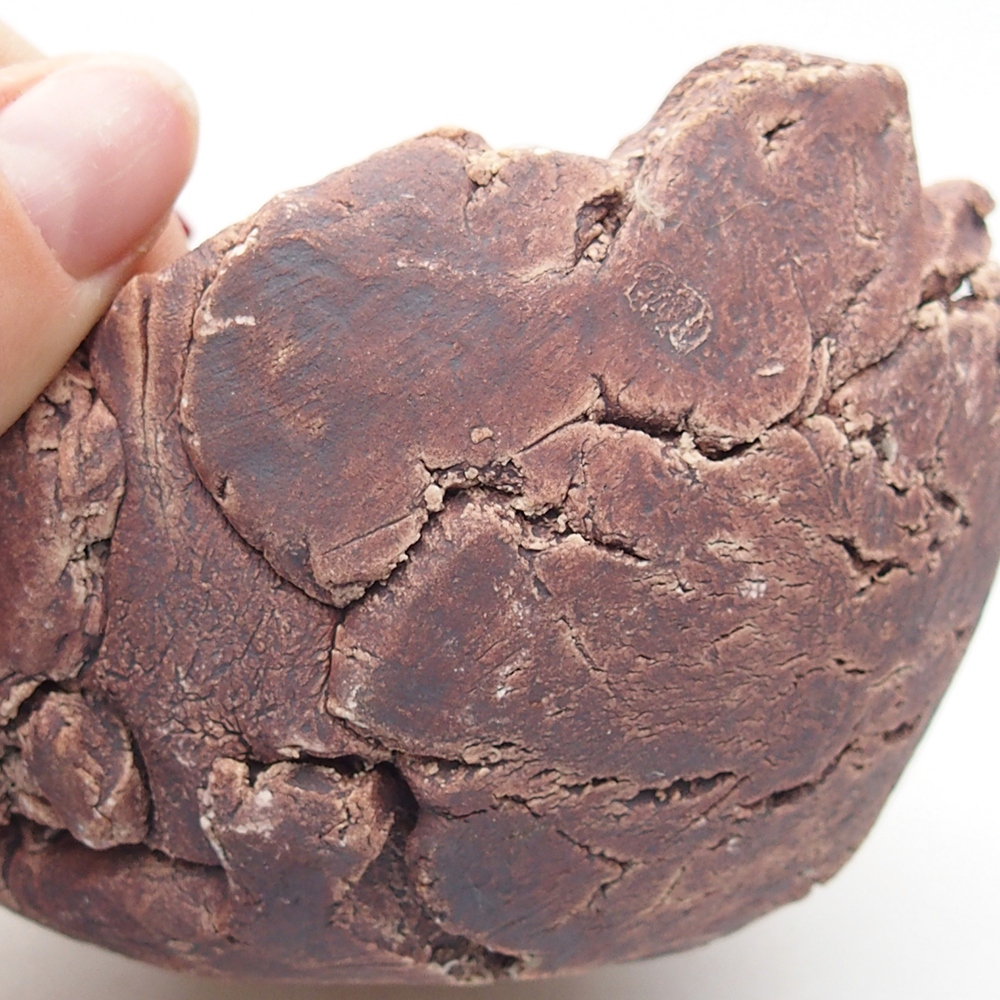 Coquille en céramique 9,5 x 9 x 7 cm , couleur marron