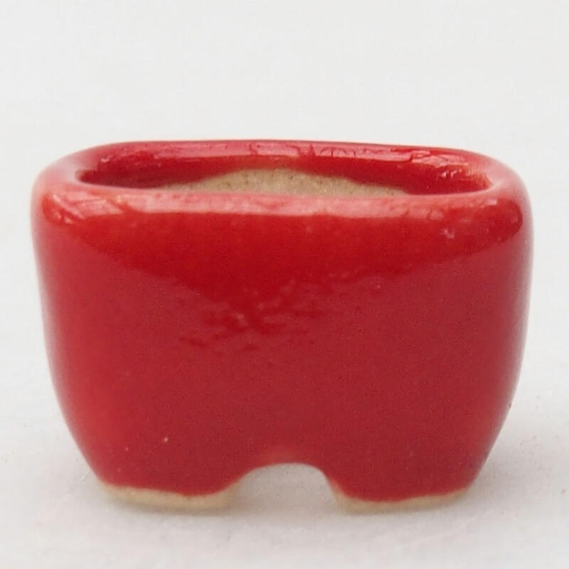 Mini pot à bonsaï 1,5 x 1 x 1 cm, couleur rouge