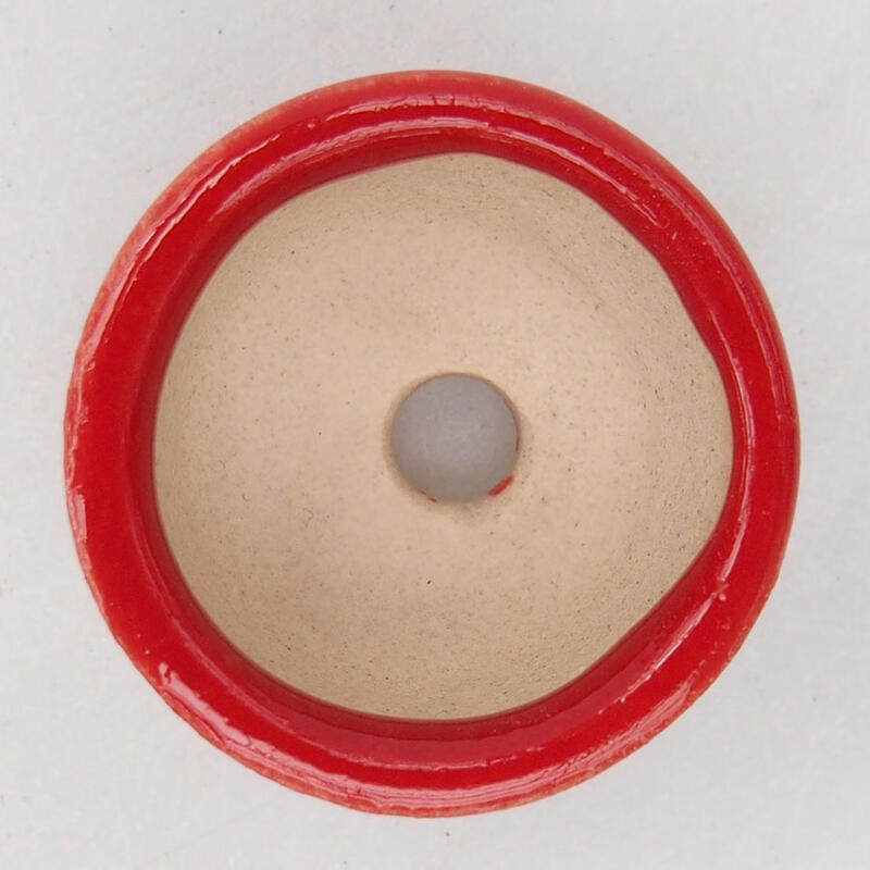 Mini bol bonsaï 2,5 x 2,5 x 1,5 cm, couleur rouge