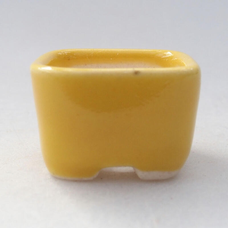 Mini bol bonsaï 2,5 x 2,5 x 1,5 cm, jaune