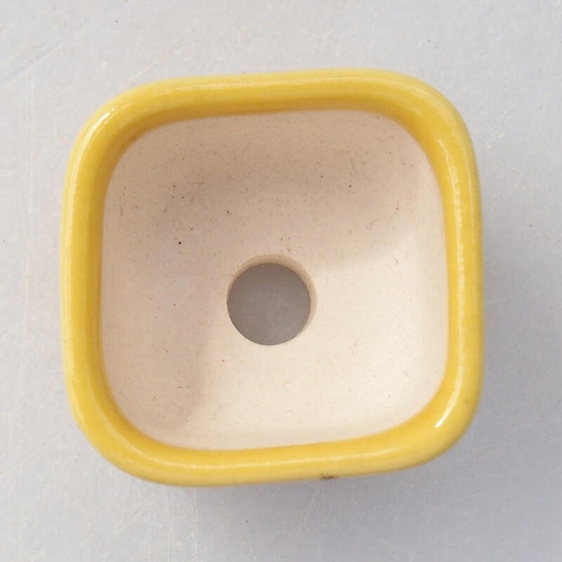 Mini bol bonsaï 2,5 x 2,5 x 1,5 cm, jaune