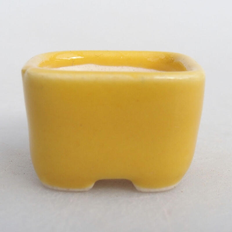 Mini bol bonsaï 2,5 x 2,5 x 1,5 cm, jaune