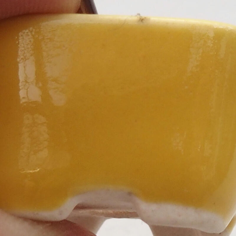Mini bol bonsaï 2,5 x 2,5 x 1,5 cm, jaune
