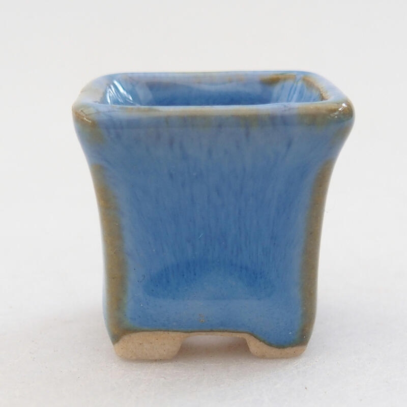Mini bol bonsaï 2,5 x 2,5 x 2,5 cm, couleur bleu