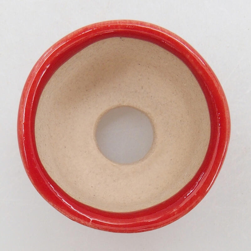 Mini bol bonsaï 2,5 x 2,5 x 2 cm, couleur rouge
