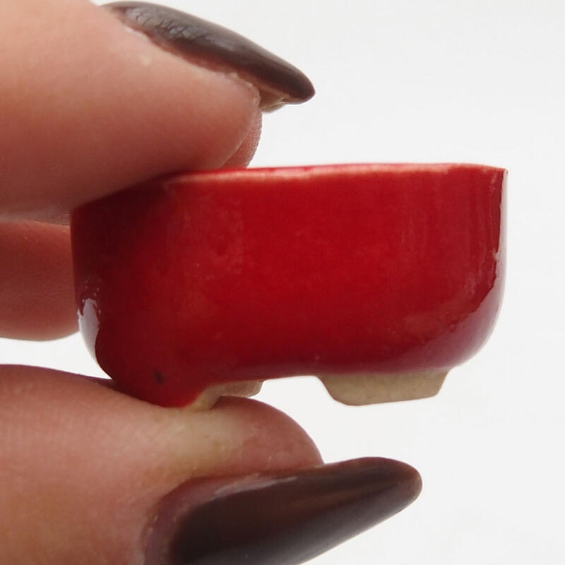 Mini bol bonsaï 2,5 x 2 x 1 cm, couleur rouge