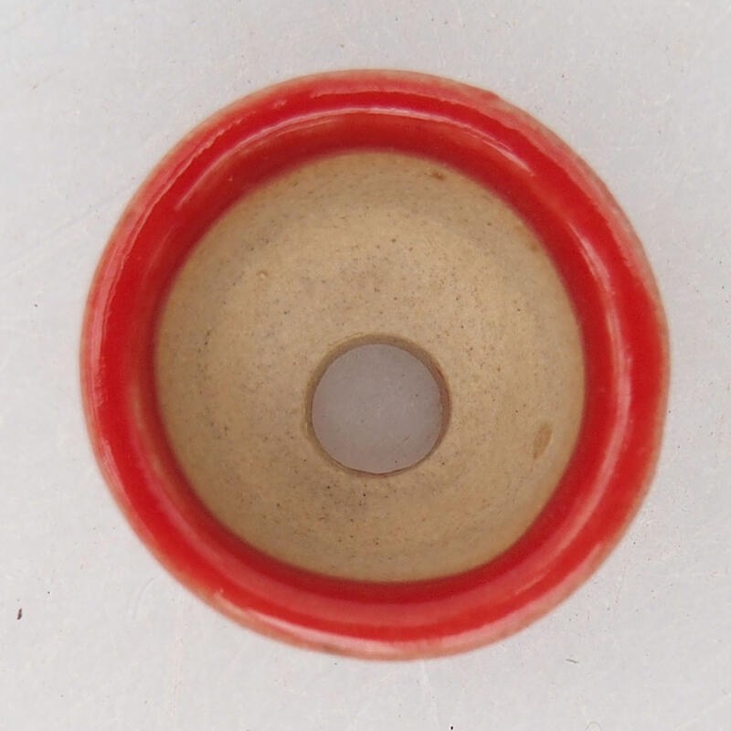 Mini bol bonsaï 2 x 2 x 1,5 cm, couleur rouge