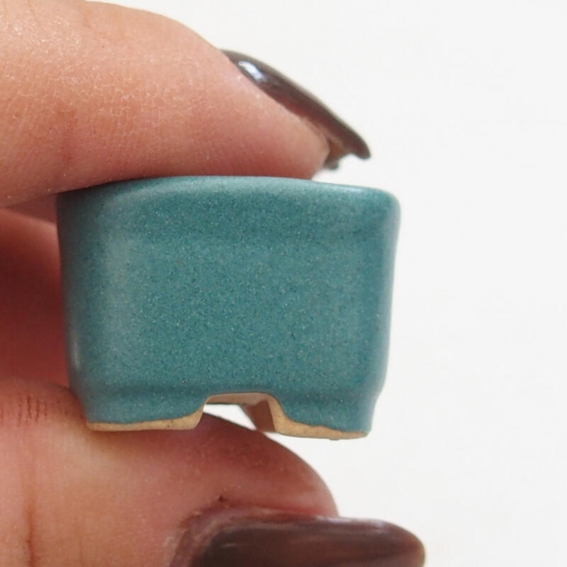 Mini bol bonsaï 2 x 2 x 1,5 cm, couleur bleu