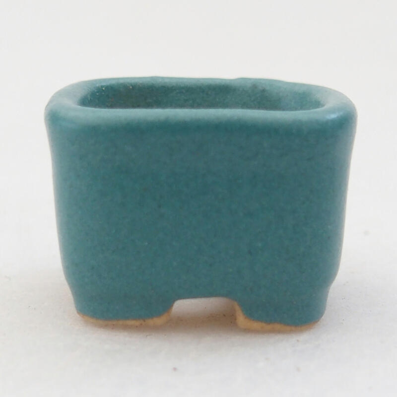 Mini bol bonsaï 2 x 2 x 1,5 cm, couleur bleu