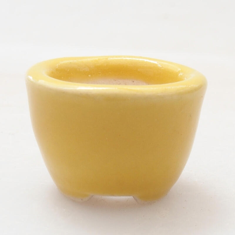 Mini-pot à bonsaï 2 x 2 x 1,5 cm, couleur jaune