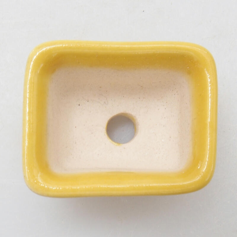 Mini bol bonsaï 3,5 x 2,5 x 2 cm, jaune