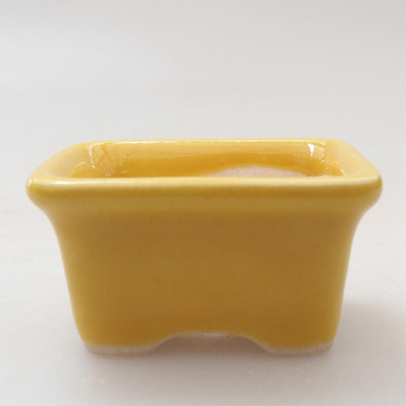 Mini bol bonsaï 3,5 x 2,5 x 2 cm, jaune
