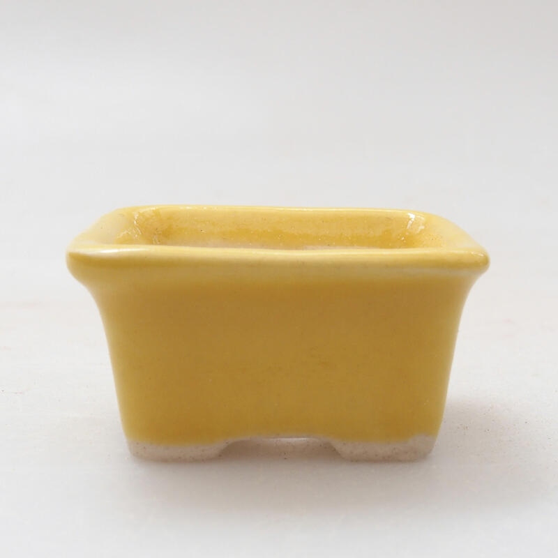 Mini bol bonsaï 3,5 x 2,5 x 2 cm, jaune