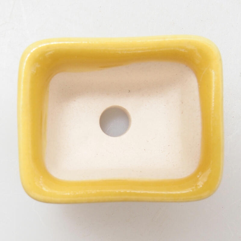 Mini bol bonsaï 3,5 x 2,5 x 2 cm, jaune