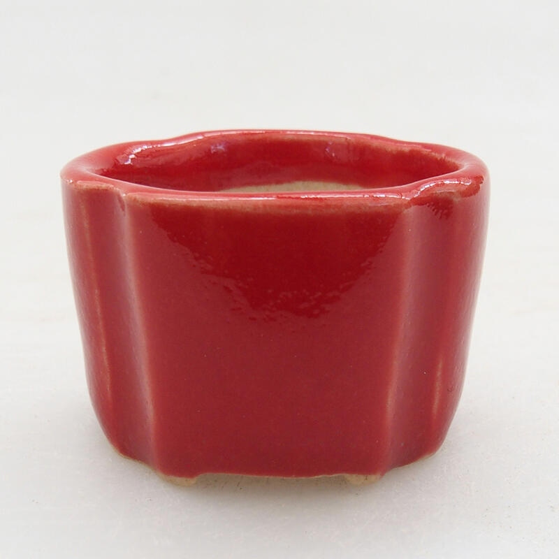 Mini bol bonsaï 3,5 x 3,5 x 2,5 cm, couleur rouge