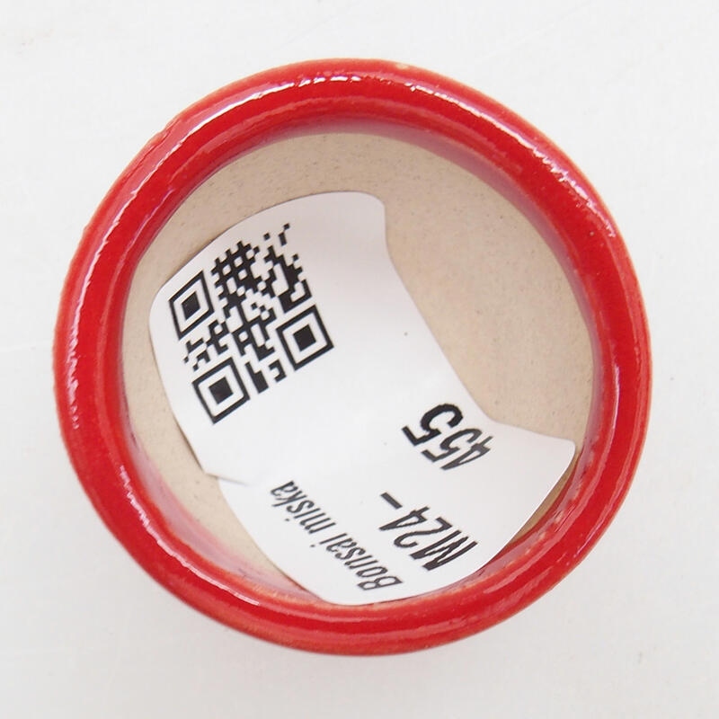 Mini bol bonsaï 3,5 x 3,5 x 2,5 cm, couleur rouge