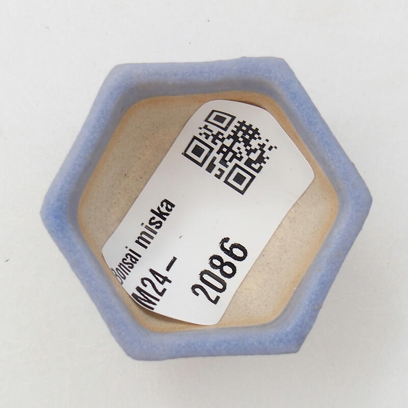 Mini bol bonsaï 3,5 x 3,5 x 2,5 cm, couleur bleu