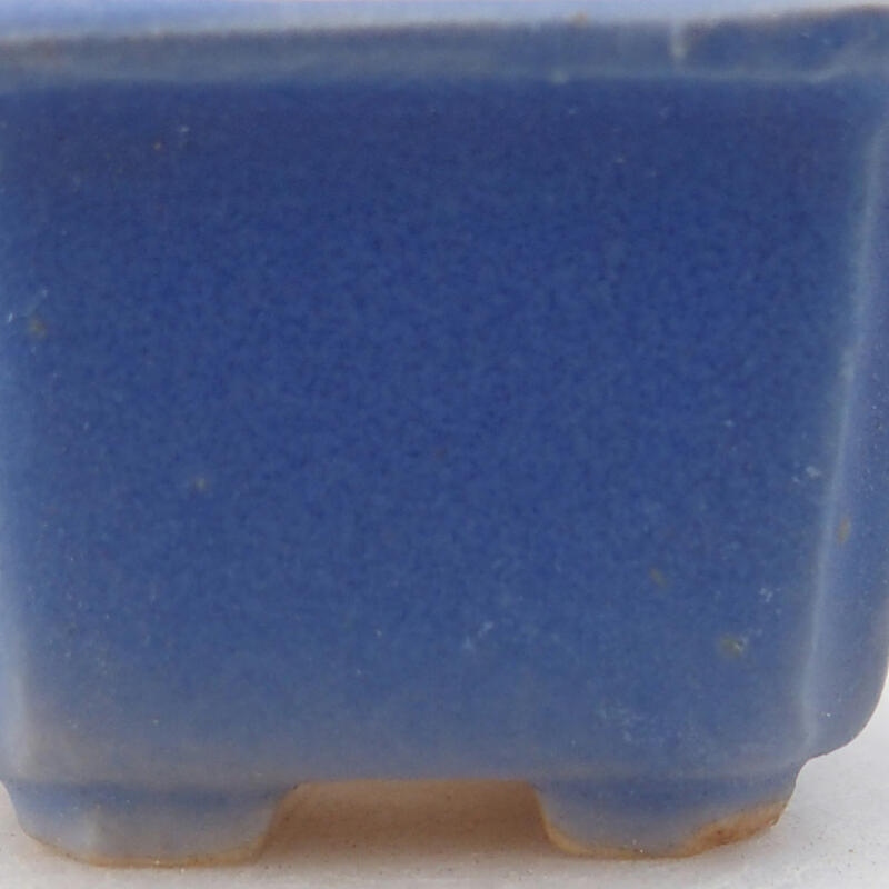 Mini bol bonsaï 3,5 x 3,5 x 2,5 cm, couleur bleu