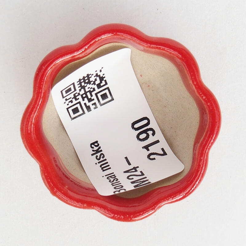 Mini bol bonsaï 3,5 x 3,5 x 2 cm, couleur rouge
