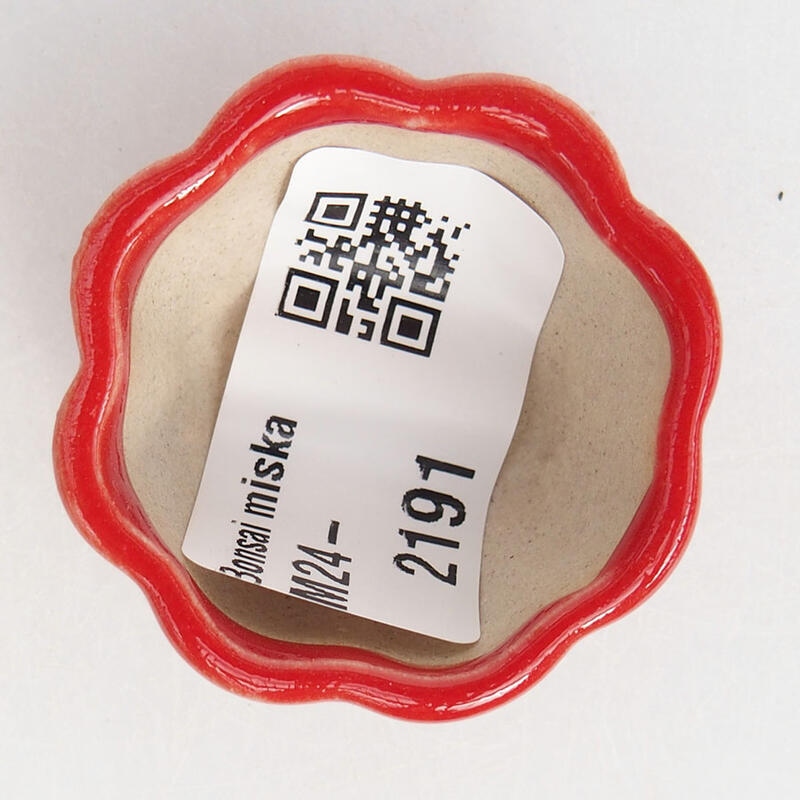 Mini bol bonsaï 3,5 x 3,5 x 2 cm, couleur rouge