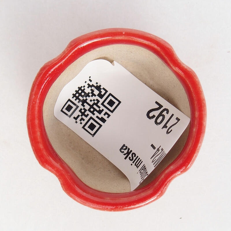 Mini bol bonsaï 3,5 x 3,5 x 2 cm, couleur rouge