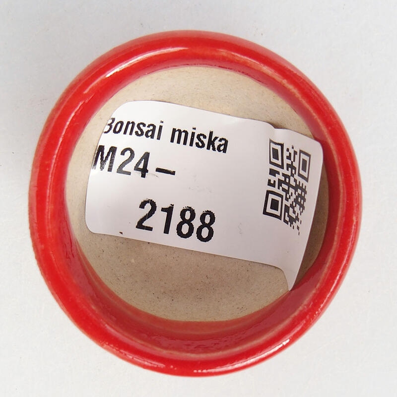 Mini bol bonsaï 3,5 x 3,5 x 2 cm, couleur rouge