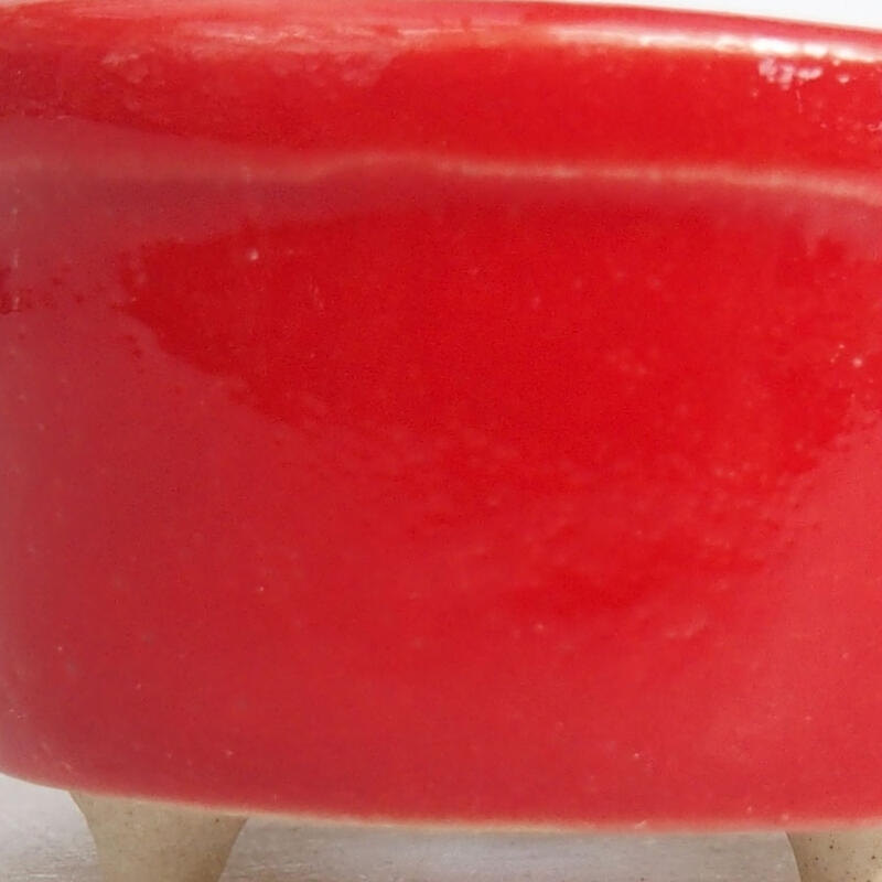 Mini bol bonsaï 3,5 x 3,5 x 2 cm, couleur rouge