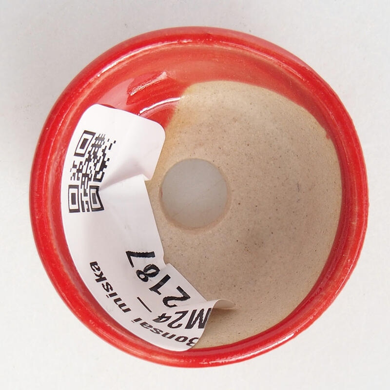Mini bol bonsaï 3,5 x 3,5 x 2 cm, couleur rouge