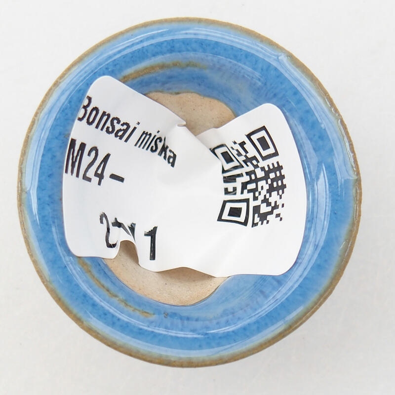Mini bol bonsaï 3,5 x 3,5 x 2 cm, couleur bleu