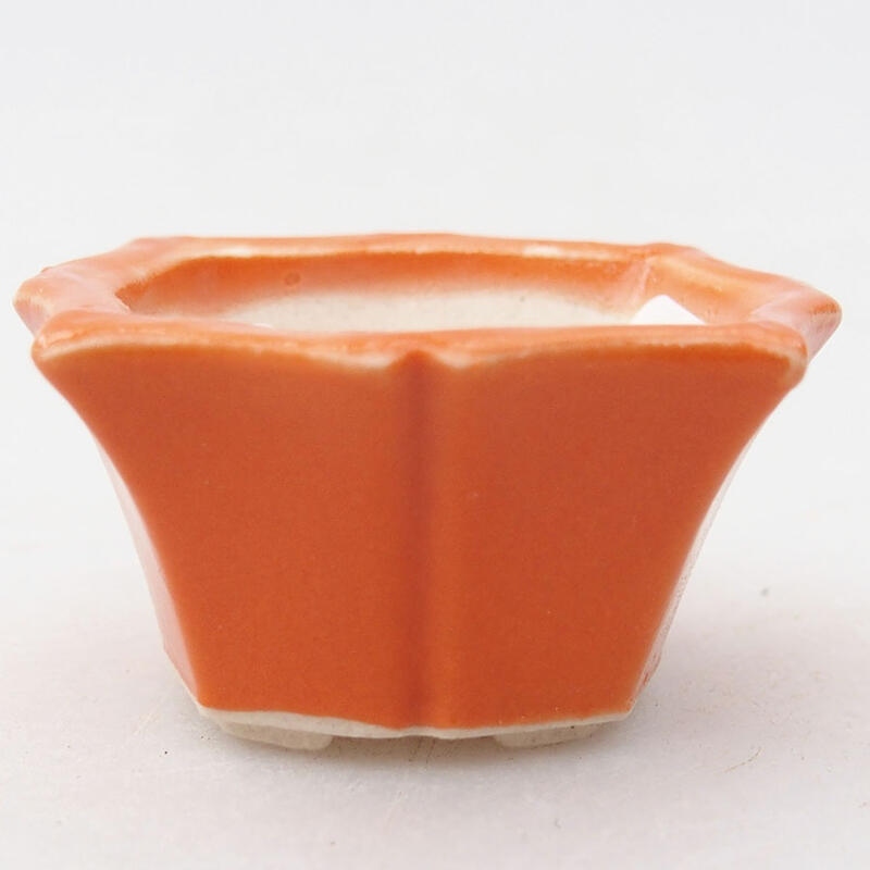 Mini bol bonsaï 3,5 x 3,5 x 2 cm, orange