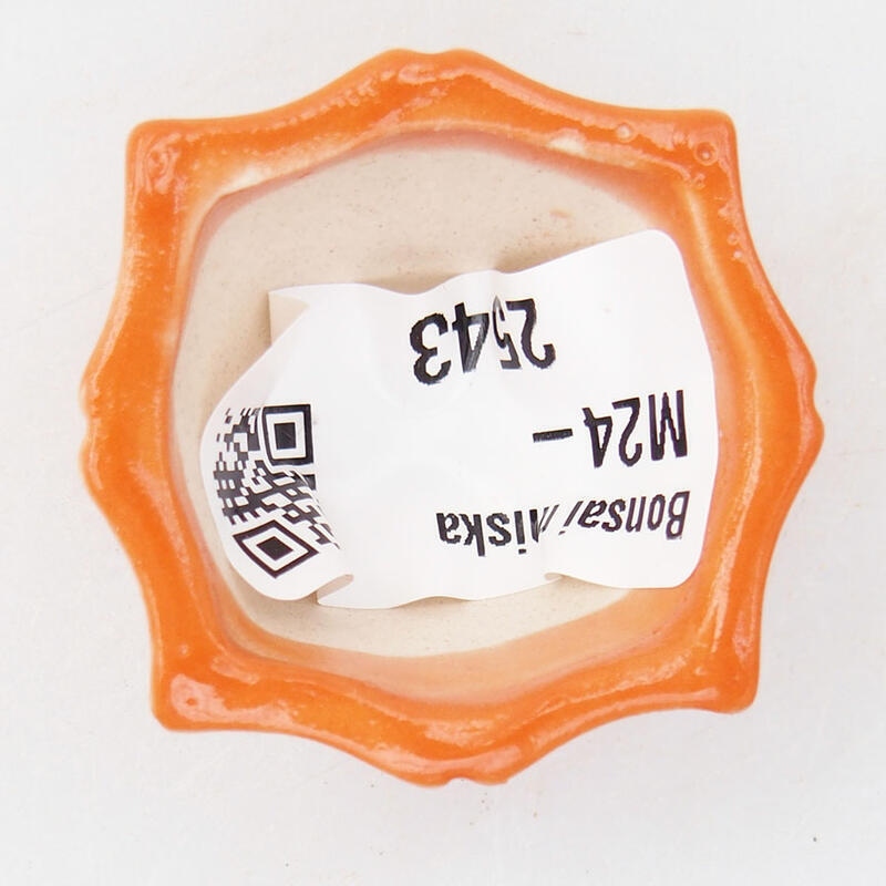 Mini bol bonsaï 3,5 x 3,5 x 2 cm, orange