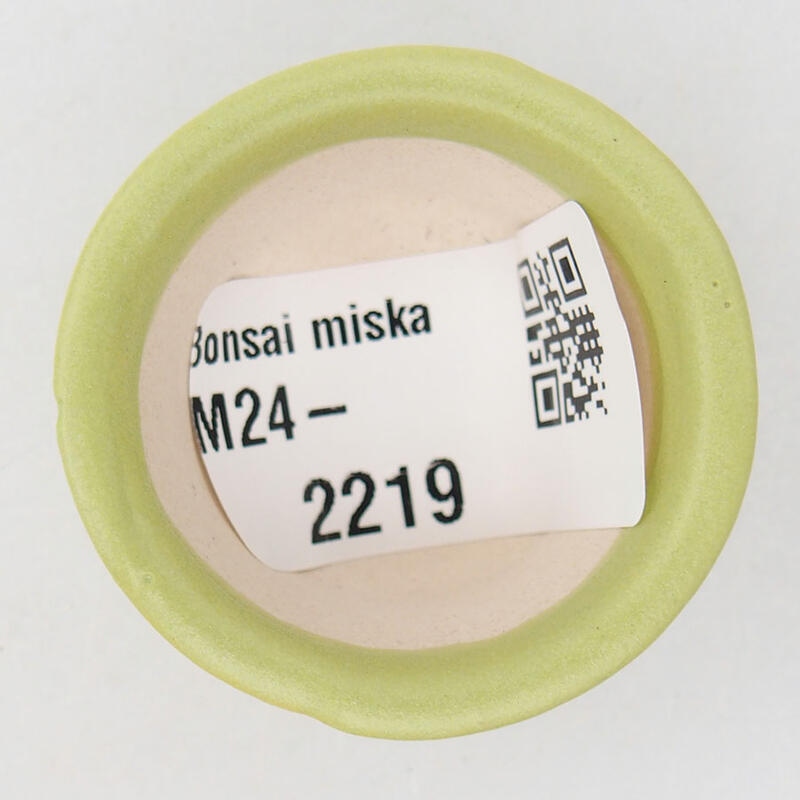 Mini bol bonsaï 3,5 x 3,5 x 2 cm, vert