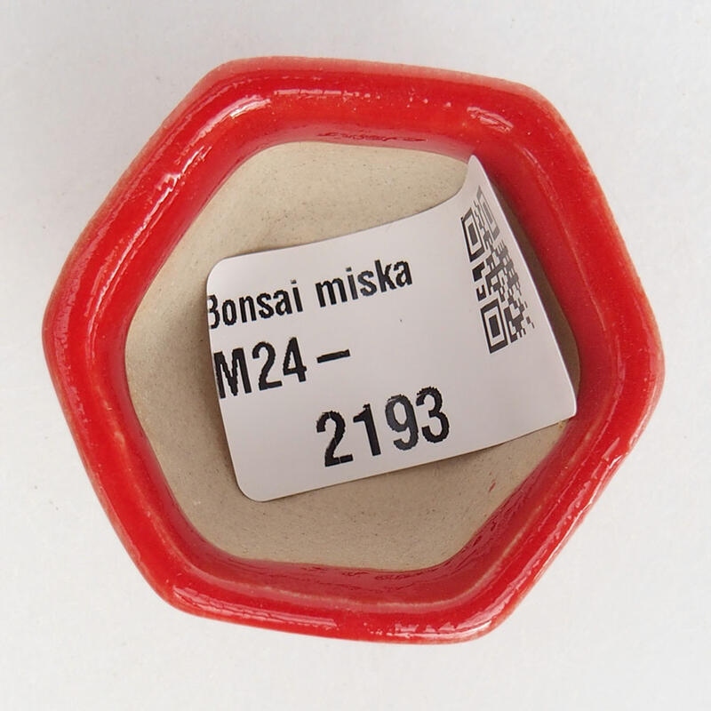 Mini bol bonsaï 3,5 x 3,5 x 3 cm, couleur rouge