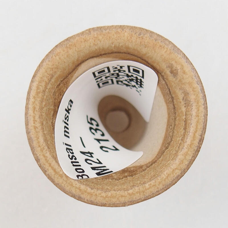 Mini bol à bonsaï 3,5 x 3,5 x 4 cm, brun